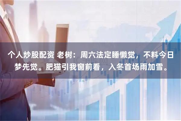 个人炒股配资 老树：周六法定睡懒觉，不料今日梦先觉。肥猫引我窗前看，入冬首场雨加雪。