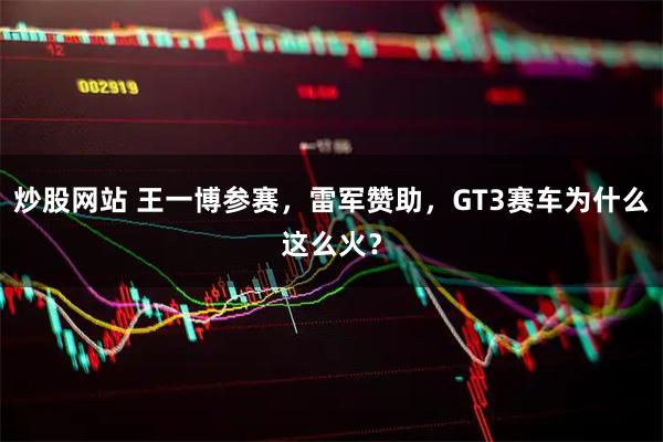 炒股网站 王一博参赛，雷军赞助，GT3赛车为什么这么火？